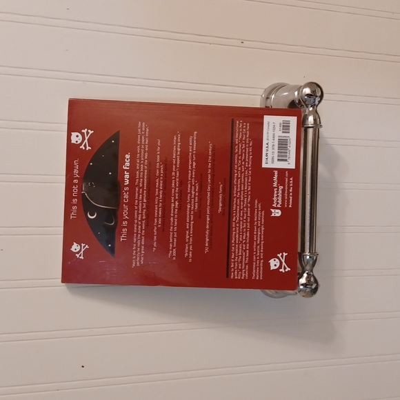 How to tell if your cat is plotting to kill you - Picture 2 of 12